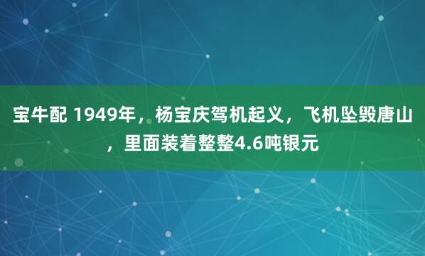 宝牛配 1949年，杨宝庆驾机起义，飞机坠毁唐山，里面装着整整4.6吨银元