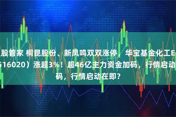 股管家 桐昆股份、新凤鸣双双涨停，华宝基金化工ETF（516020）涨超3%！超46亿主力资金加码，行情启动在即？